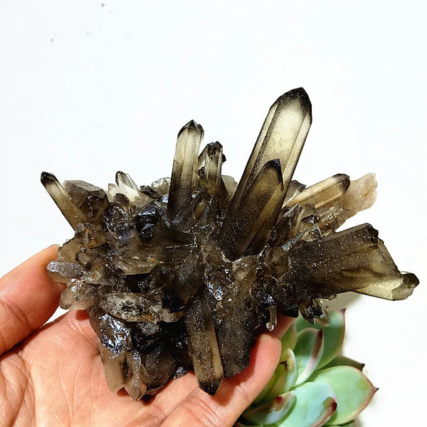 Smoky Quartz Crystal Cluster-ToShay.org