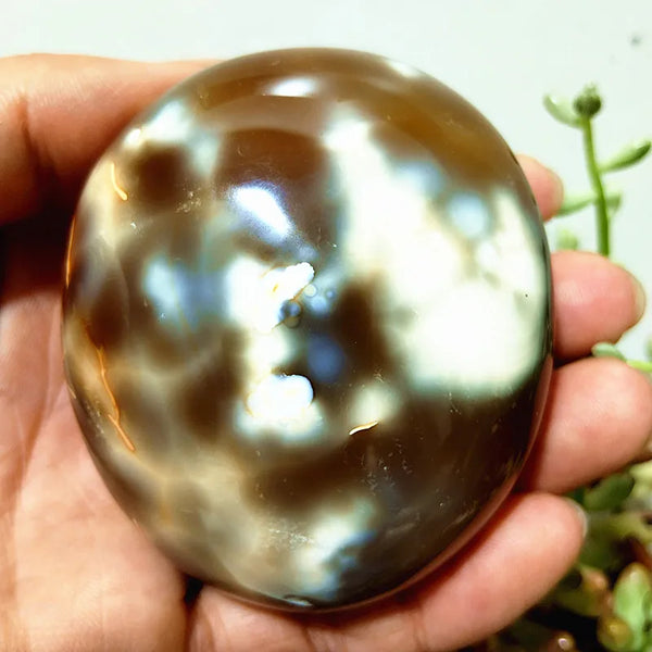 Mixed Lace Sardonyx Agate-ToShay.org