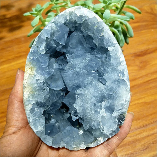 Blue Celestine Geode Crystal-ToShay.org