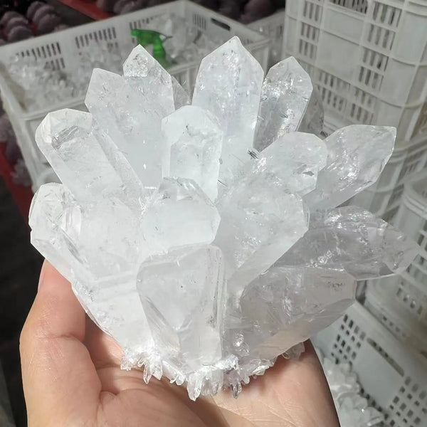 White Quartz Crystal Cluster-ToShay.org