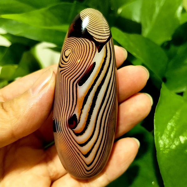 Red Lace Sardonyx Agate-ToShay.org