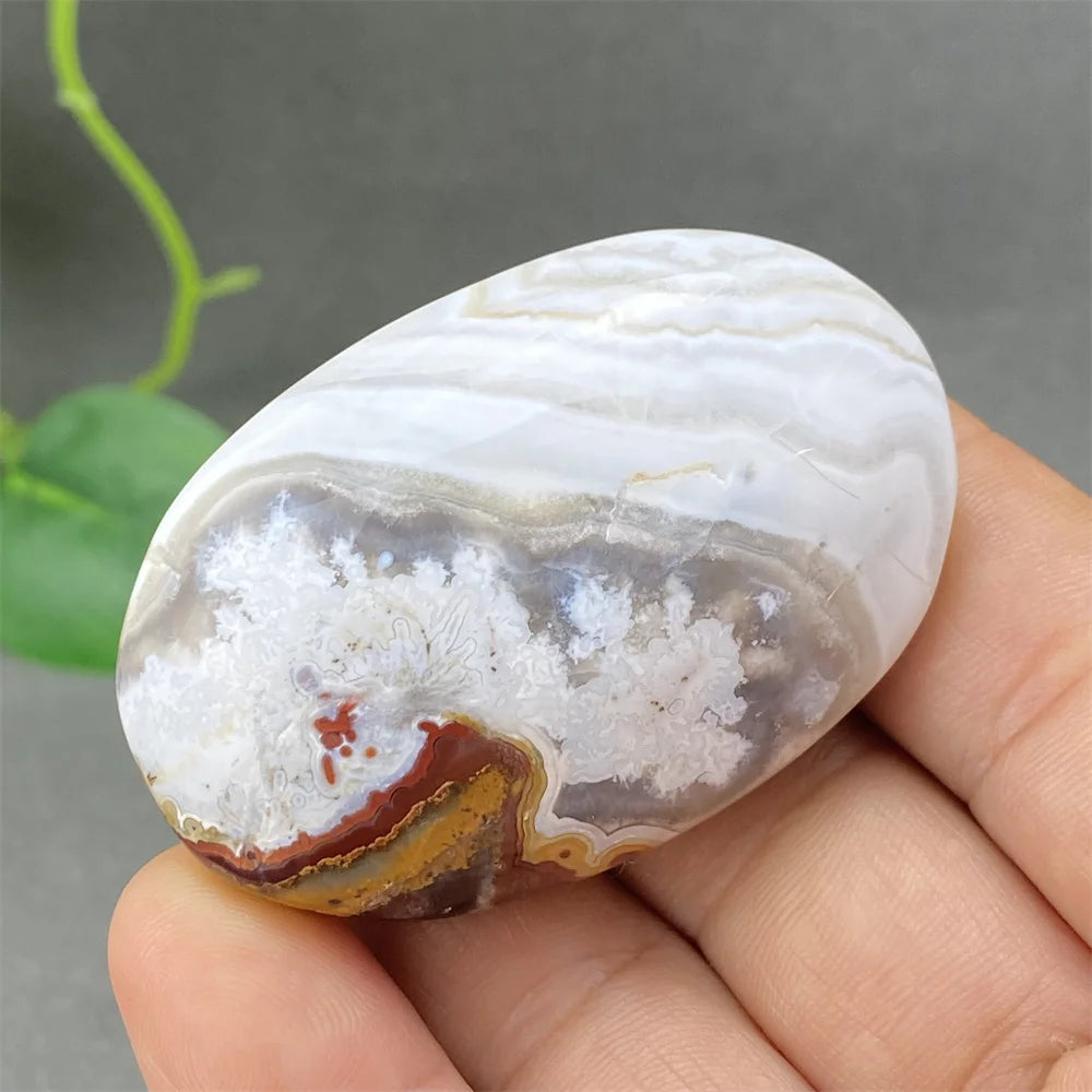 Red Lace Crazy Agate-ToShay.org