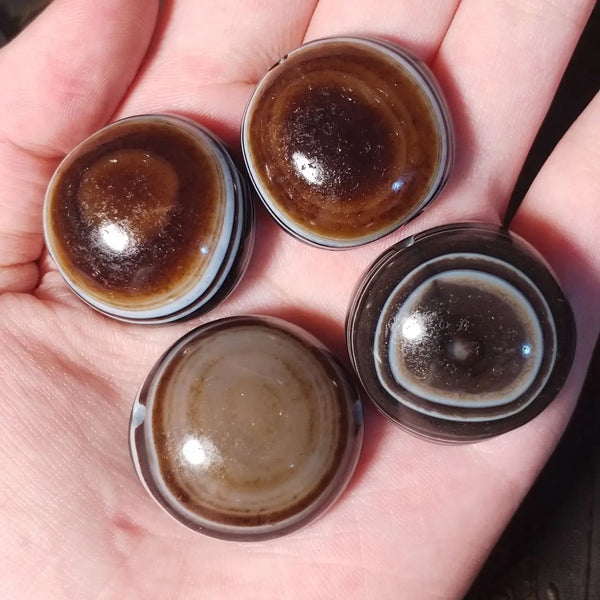 Tibetan Sheep Plate Eye Agate-ToShay.org