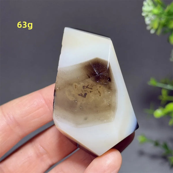 Black Striped Agate-ToShay.org