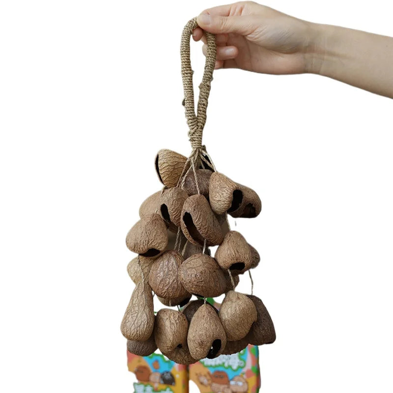 Shell Fruit Bells-ToShay.org