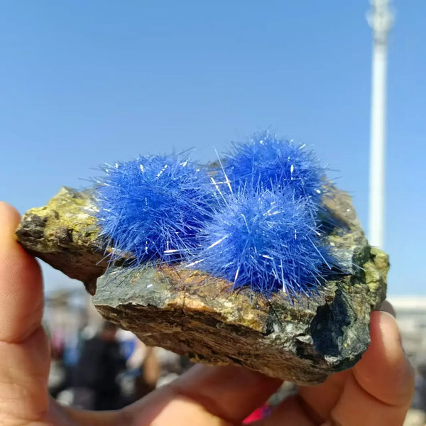 Blue Zeolite Azurite Clusters-ToShay.org