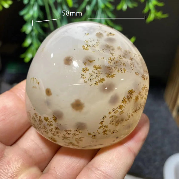White Ink Moss Tree Agate-ToShay.org