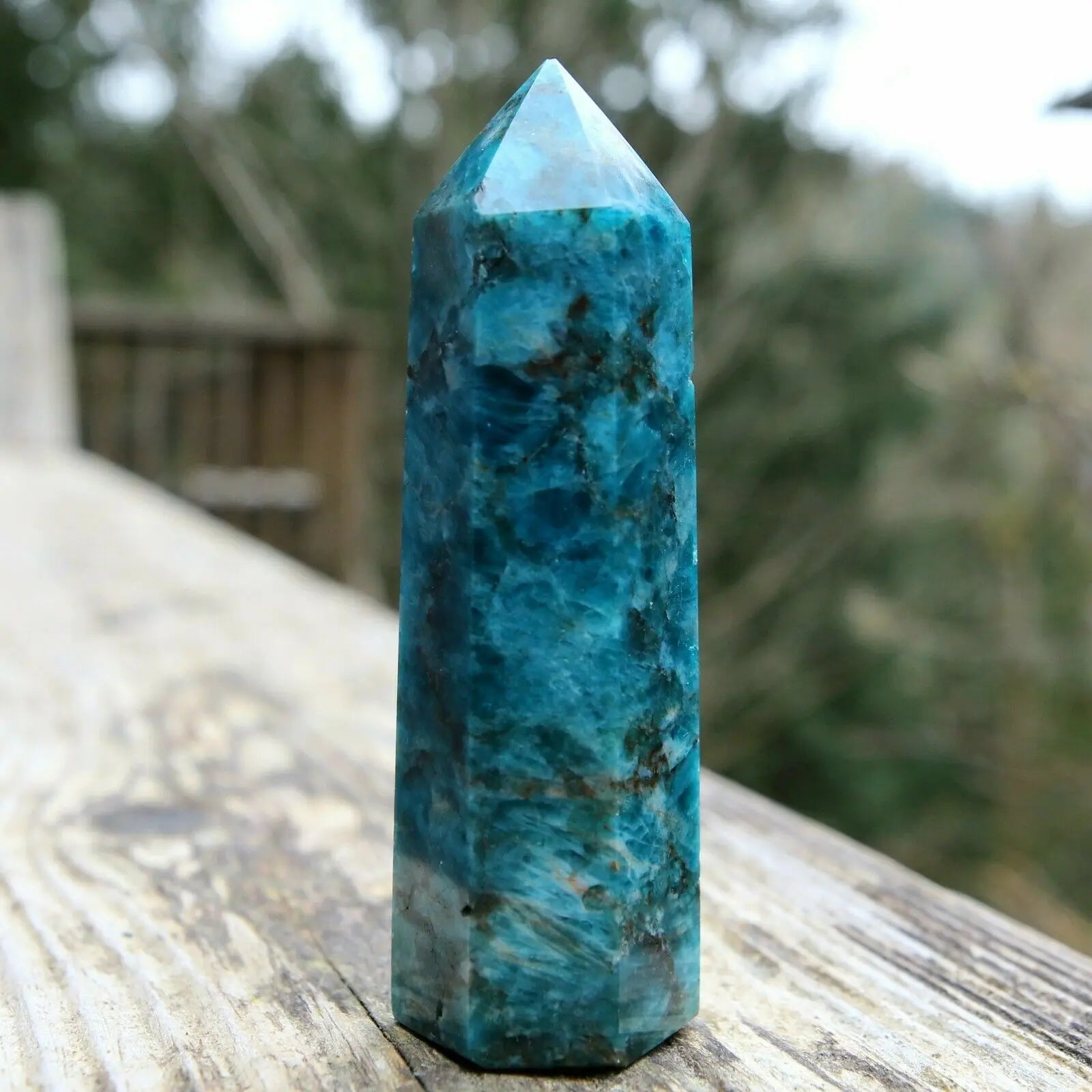 Blue Apatite Point-ToShay.org