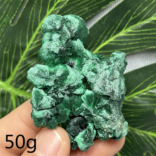 Green Malachite Silk Luster Crystal-ToShay.org