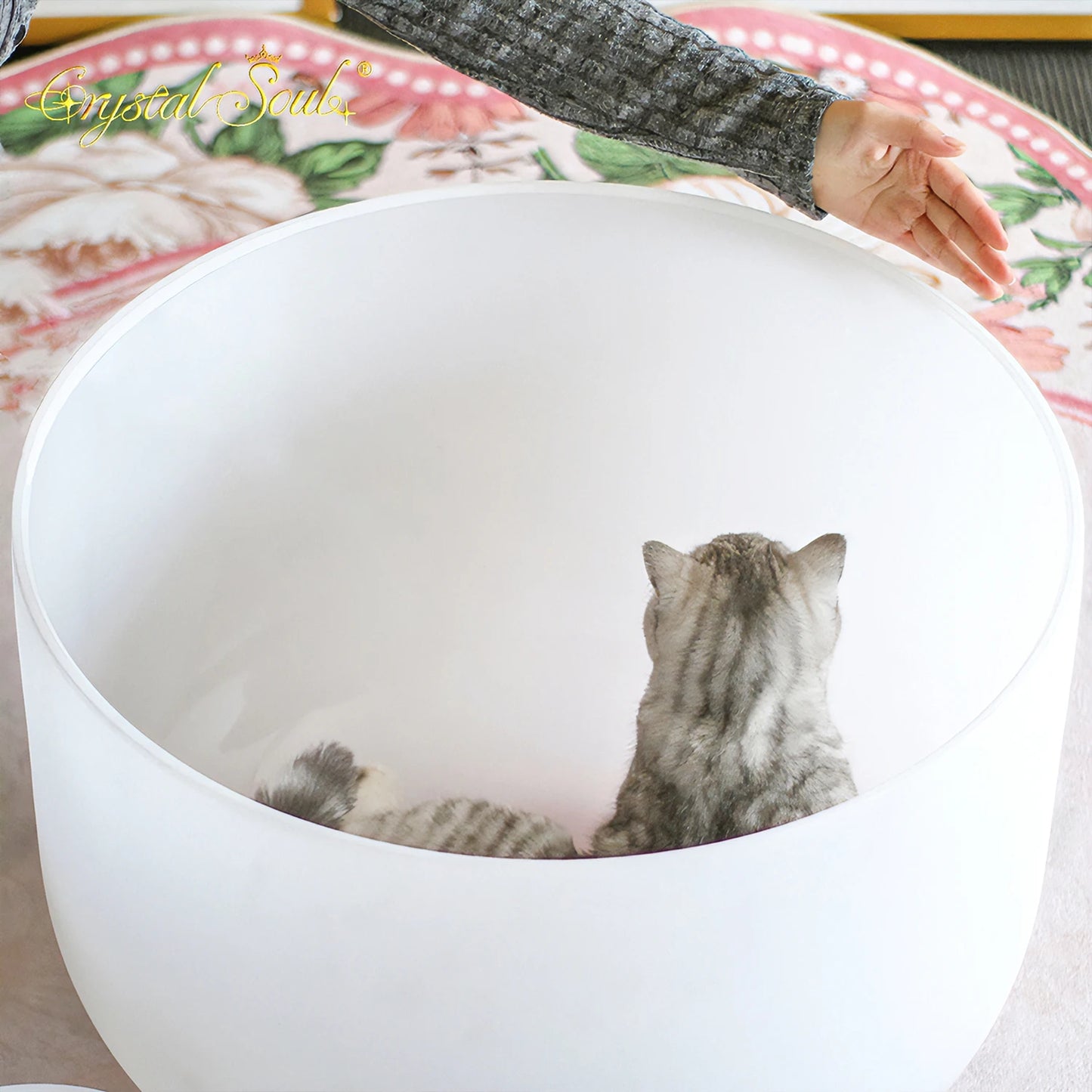 Crystal Soul 22 Inch Customizable Large Crystal Bowl Meditation Interactive Sound Bath-ToShay.org