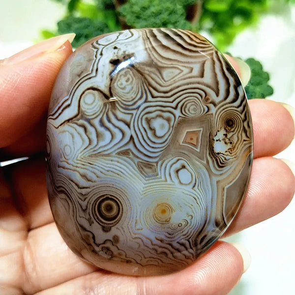 Red Lace Sardonyx Agate-ToShay.org