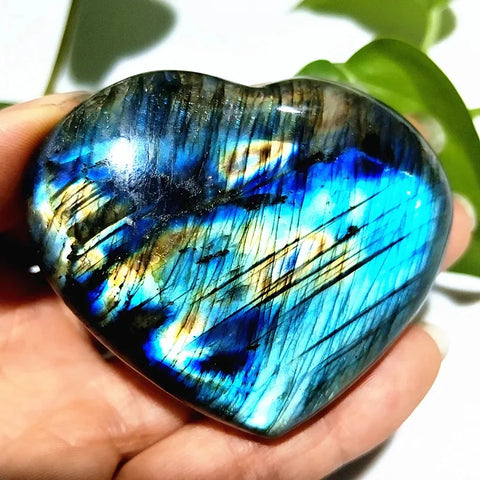 Blue Labrador Heart-ToShay.org