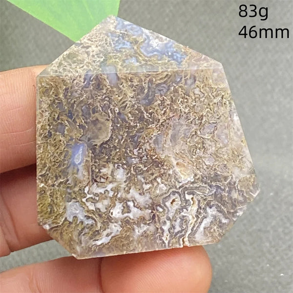 Green Water Plant Agate-ToShay.org