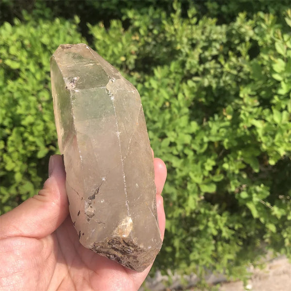 Clear Smoky Lemurian Seed-ToShay.org