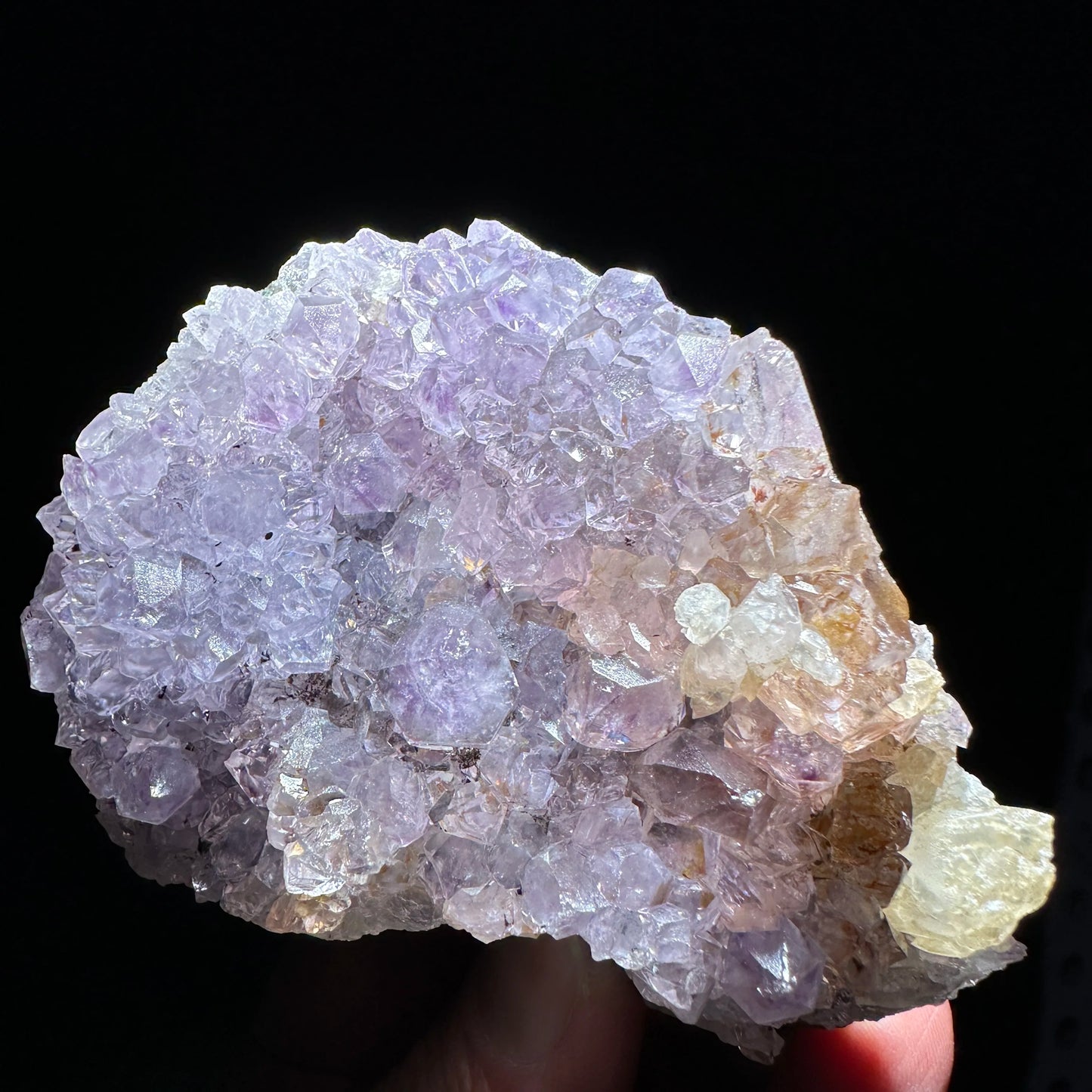 Purple Amethyst Skull Cluster-ToShay.org