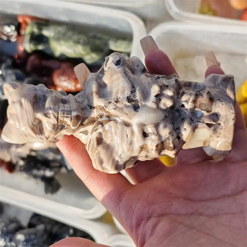 White Crazy Agate Skeleton-ToShay.org
