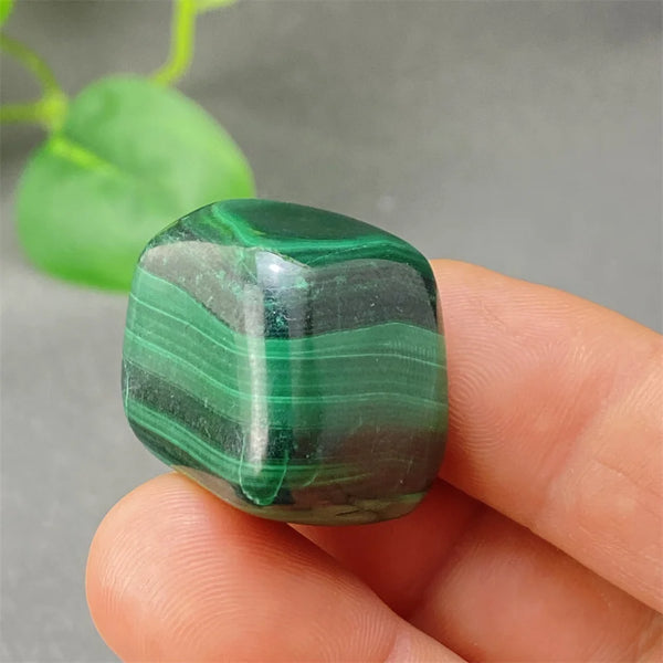 Green Malachite Tumbled Stone-ToShay.org