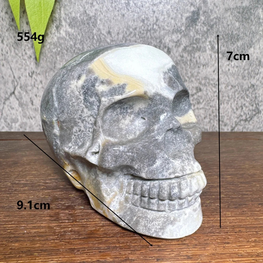 Grey Amzonite Skull-ToShay.org
