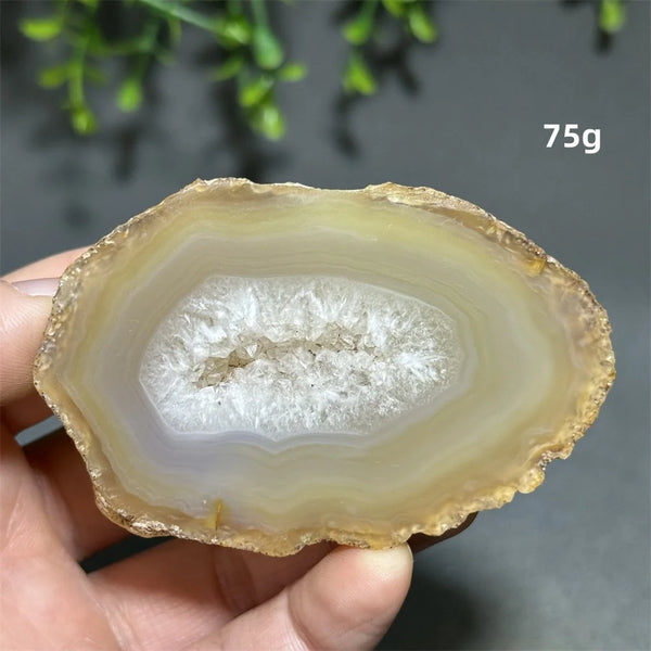 Yellow Agate Slice-ToShay.org