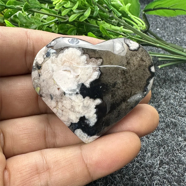 Black Cherry Blossom Agate-ToShay.org