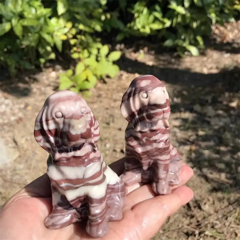Red Stripe Dog-ToShay.org