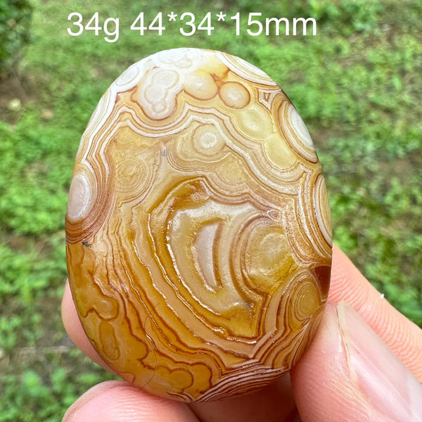 Brown Gobi Eye Agate-ToShay.org