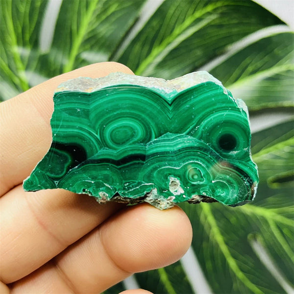 Green Eyes Malachite-ToShay.org