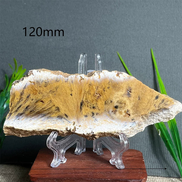 Yellow Hair Agate Slab-ToShay.org
