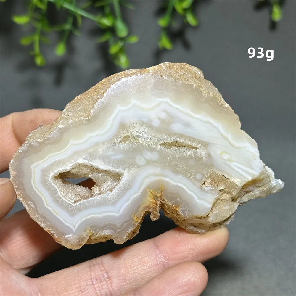 Yellow Agate Slice-ToShay.org