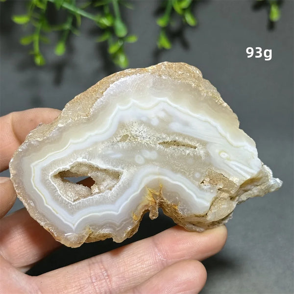 Yellow Agate Slice-ToShay.org