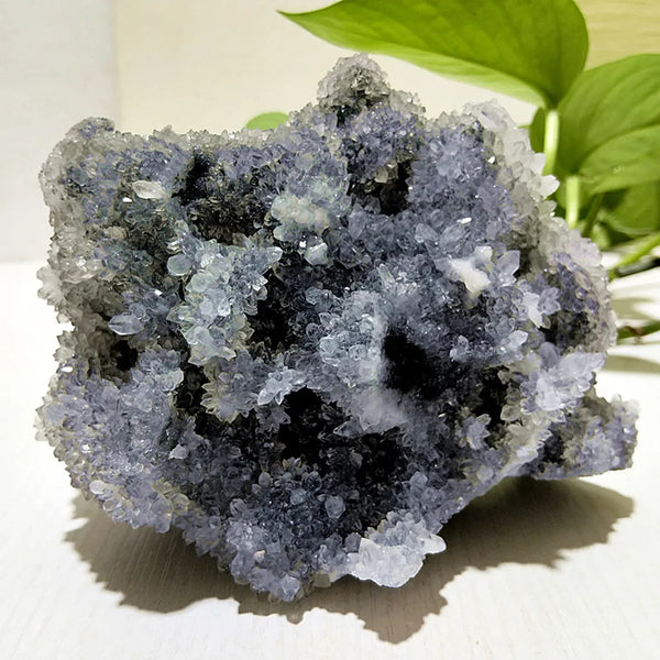 Purple Chrysanthemum Fluorite Crystal-ToShay.org