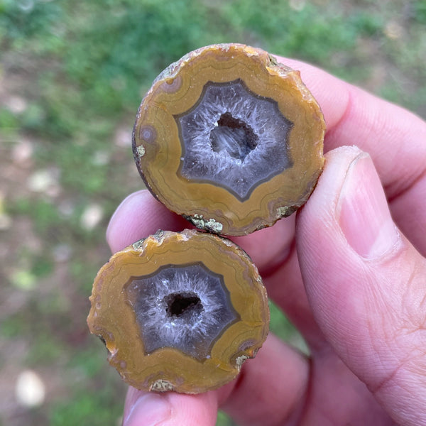 Mixed Agate Geode Egg-ToShay.org