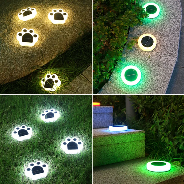 Paw Print Lights-ToShay.org