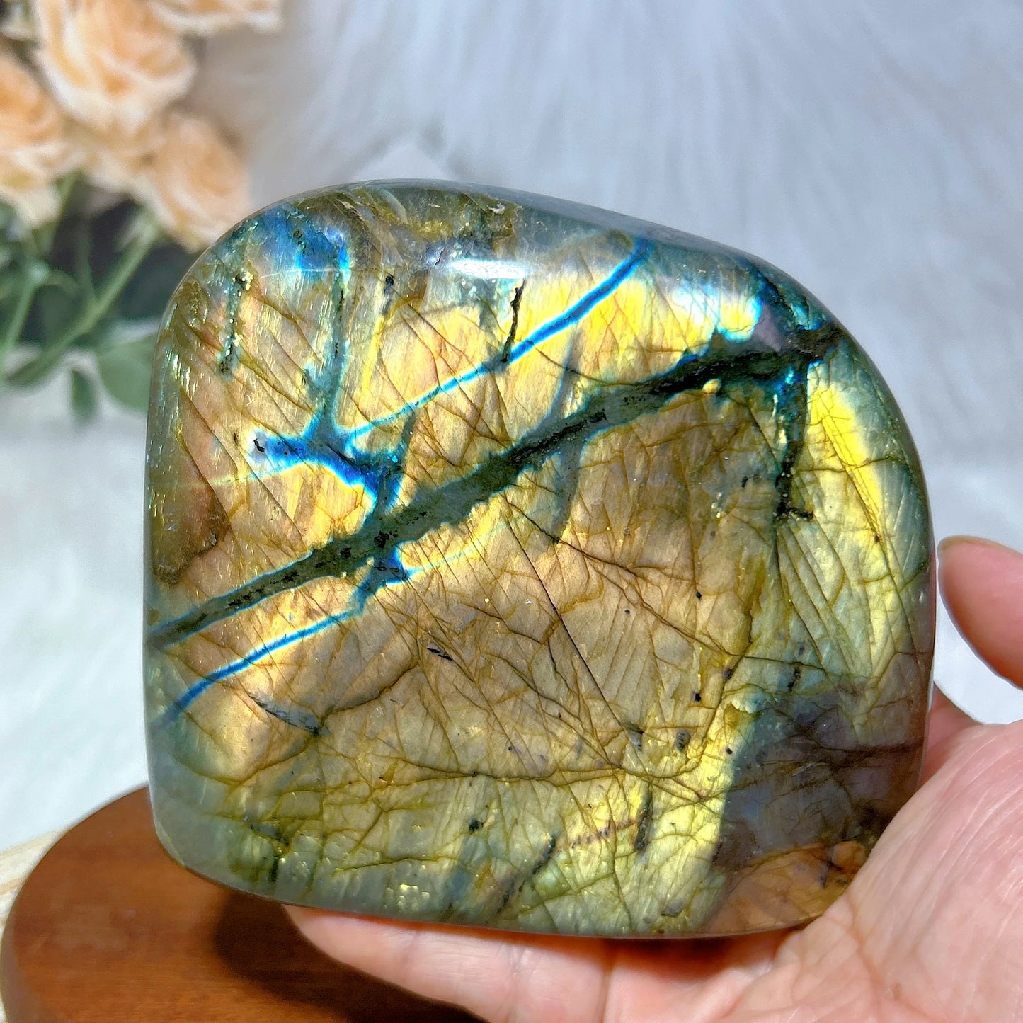 Gold Light Labradorite-ToShay.org