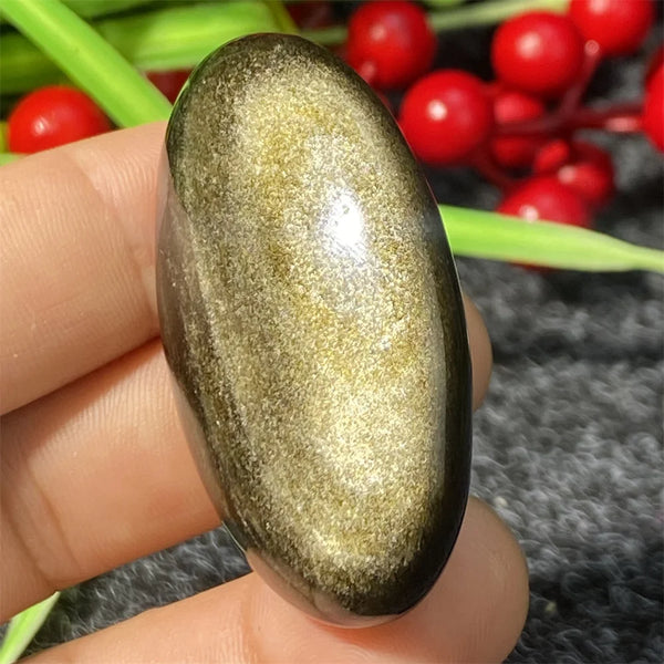 Silver Black Obsidian-ToShay.org