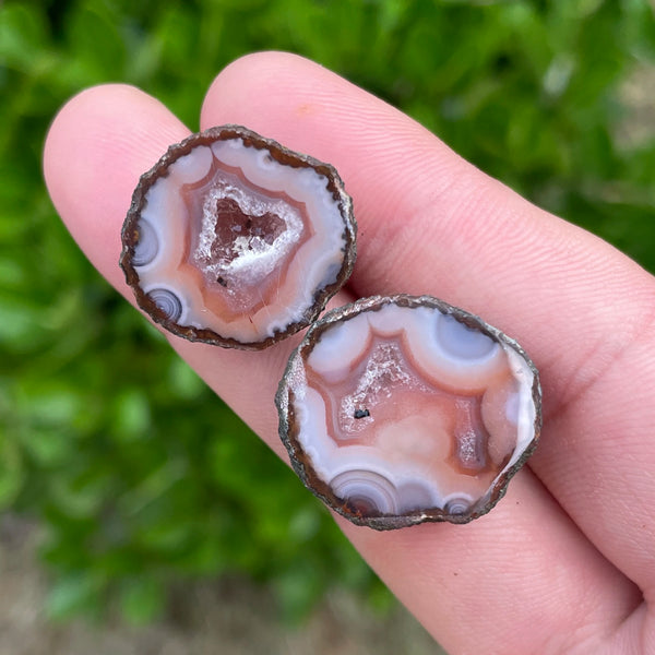 Red Sardonyx Geode Egg-ToShay.org