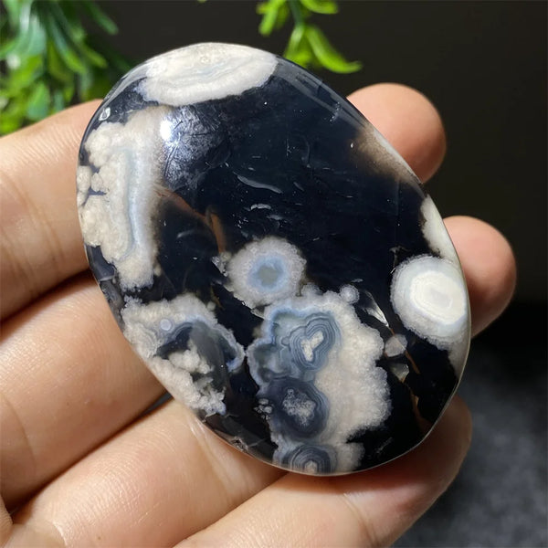 Black Flower Agate-ToShay.org