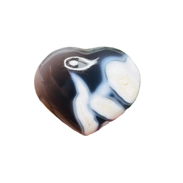 Black White Orca Agate-ToShay.org