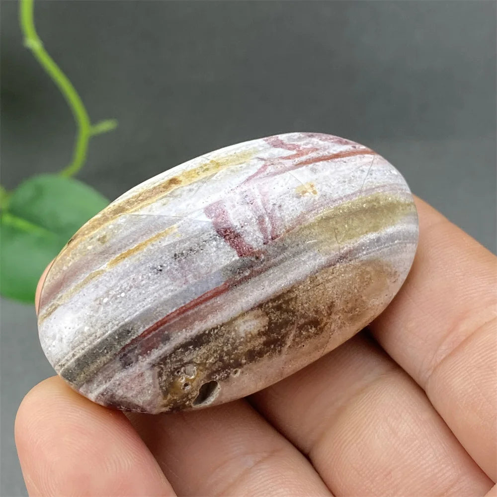 Red Lace Crazy Agate-ToShay.org