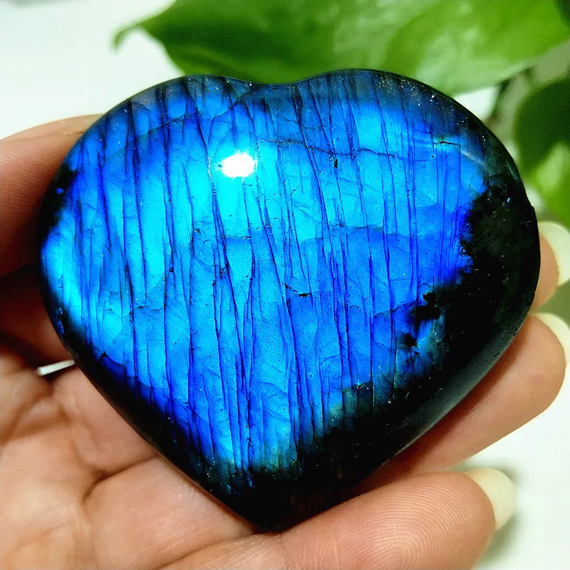 Blue Labrador Stone Heart-ToShay.org