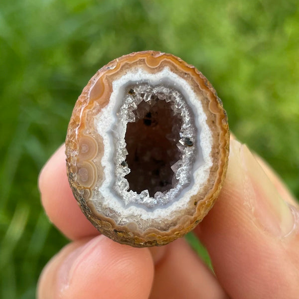 Yellow Agate Geode Egg-ToShay.org