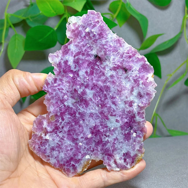Purple Lepidolite Crystal-ToShay.org