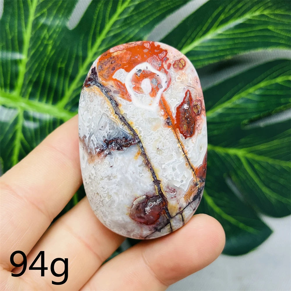White Red Crazy Agate-ToShay.org