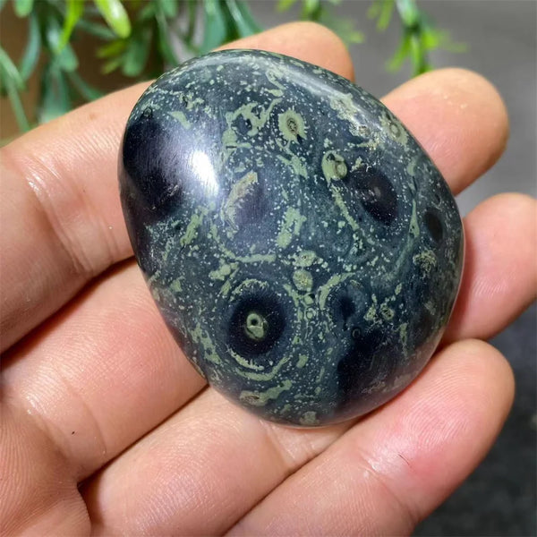 Green Peacock Eye Stone-ToShay.org