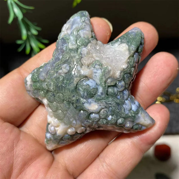 Green Moss Agate Starfish-ToShay.org