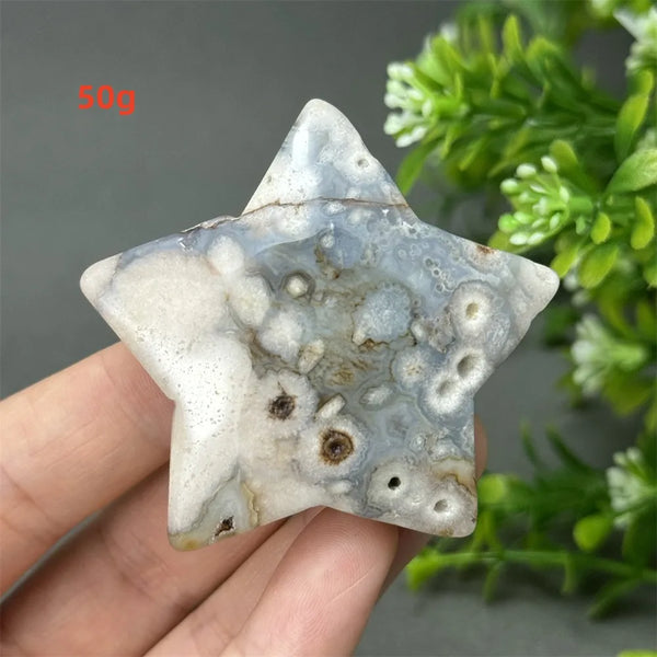 Black Cherry Blossom Agate-ToShay.org