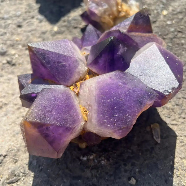 Purple Amethyst Cluster-ToShay.org