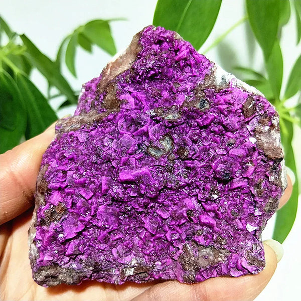 Pink Cobaltocalcite Raw Rock-ToShay.org