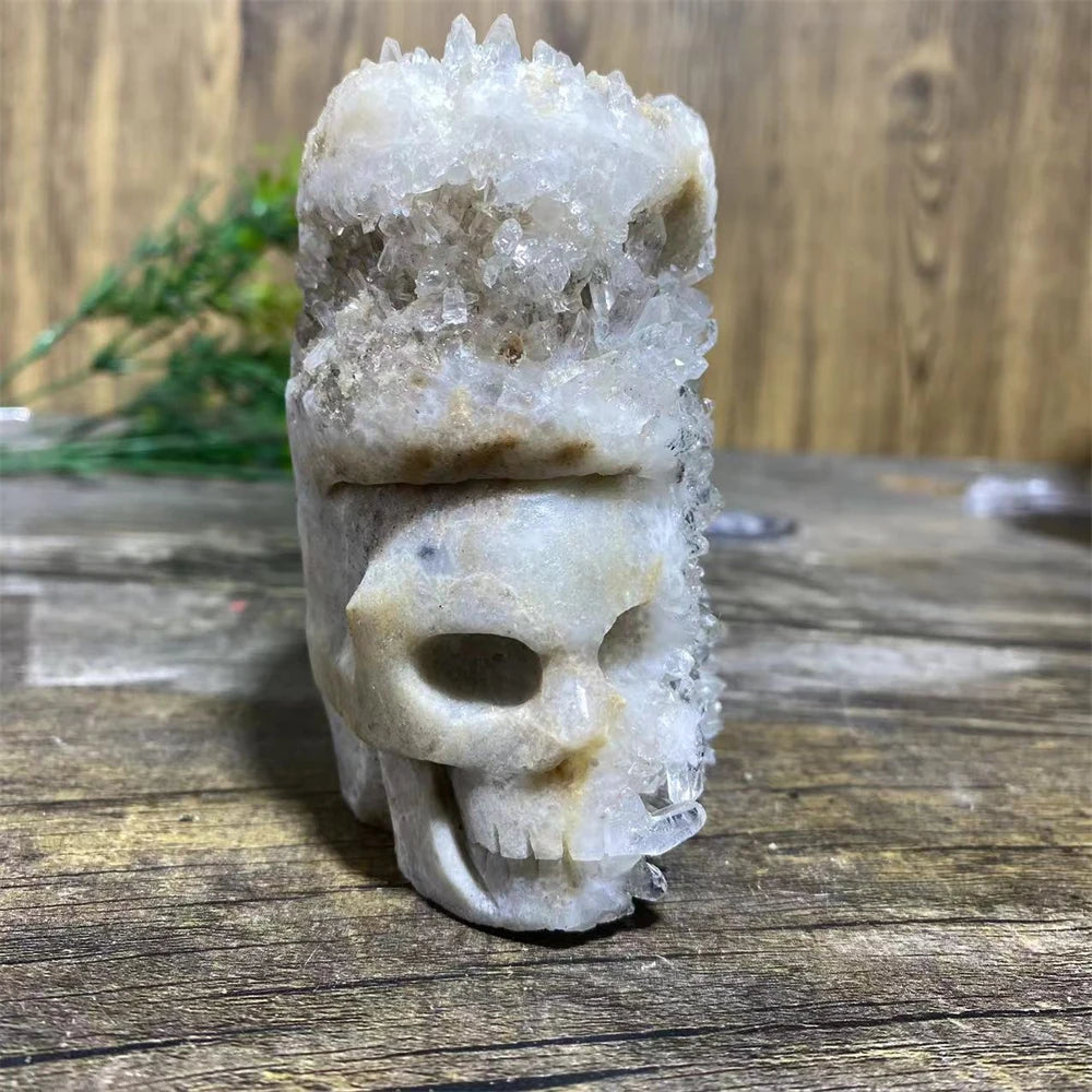 White Chrysanthemum Stone Skull-ToShay.org