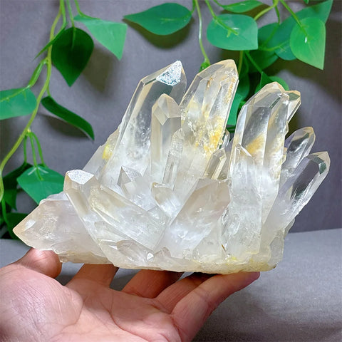Clear Quartz Crystal Cluster-ToShay.org